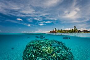 Dhigufaru Island Resort