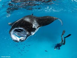 Dhigufaru Island Resort