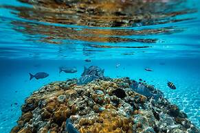 Dhigufaru Island Resort