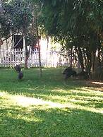 Luang Prabang Chanon Hotel