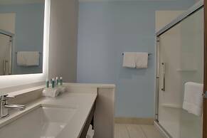 Holiday Inn Express & Suites Charleston NE Mt Pleasant US17 by IHG