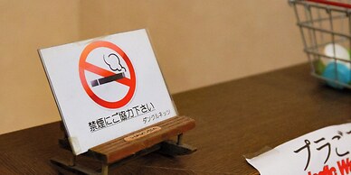 Land Haus Dancru Netz