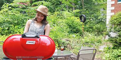 Land Haus Dancru Netz