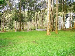 The Mountain Courtyard Thekady