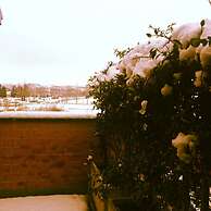 AlbaResidence masera26