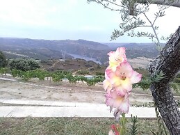 Douro Natura