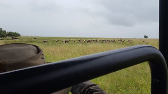 Cradle Boutique Hotel