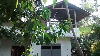 Jungleside House