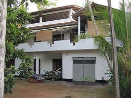 Jungleside House
