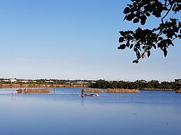 Waterbirds Family