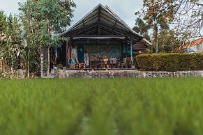 Big Brother Surf Inn