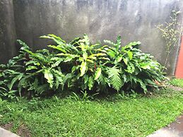 Pacung Indah Hotel and Restaurant