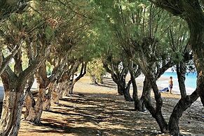 All Senses Ocean Blue Sea Side Resort & Spa By Anayia All Inclusive Re