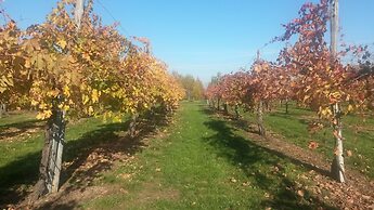 Agriturismo Il Brugnolo