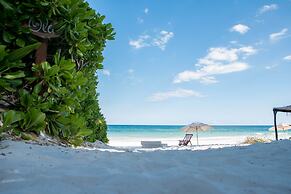 Nueva Vida de Ramiro