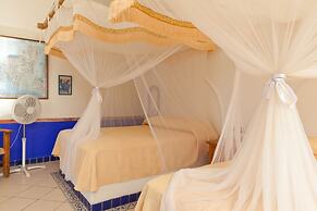 Nueva Vida de Ramiro