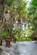 Nueva Vida de Ramiro