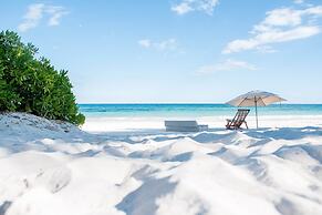 Nueva Vida de Ramiro