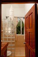 Nueva Vida de Ramiro