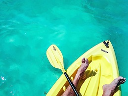 Nueva Vida de Ramiro