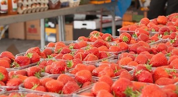 Galway Luxury Seaview Apartments