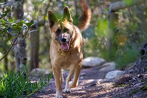 Woodlands Self Catering, Knysna