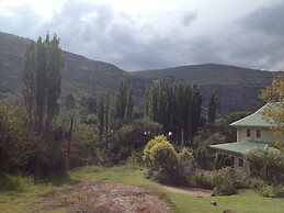 Upper House