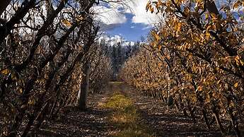 Vindoux Guest Farm and Day Spa