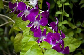 SR Sofia Villa Hotel