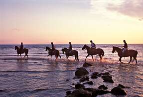 Agriturismo La pulledraia