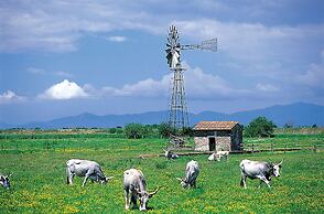 Agriturismo La pulledraia