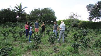 Finca Hotel Villa Clara