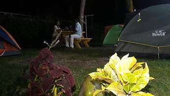 Haven House Apartments