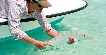 Mangrove Cay Sea View Villas