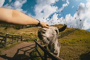 Viajero Salento Hostel