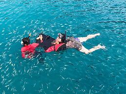 Coconut Beach Resort