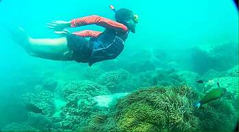 Coconut Beach Resort