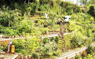 Roomantic Apartments