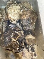 Bamboo at Koh Chang Resort