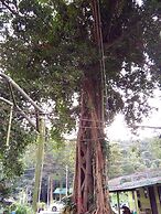 The Grand Tree Resort