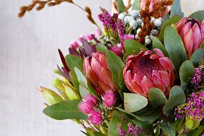 Spatalla Holiday Homes