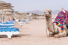 Faraana Heights Aqua Park