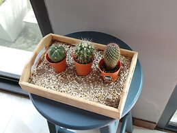 Bird Day Boutique Hotel