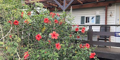 PANORAMA Ocean View Cottage
