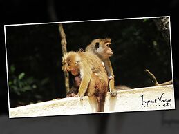 Kandy Holiday Residence