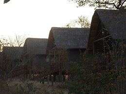 Lion Roars Lodge