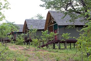 Lion Roars Lodge
