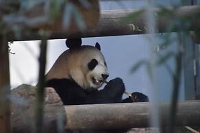 Dormy Inn Premium Tokyo Kodenmacho Hot Spring