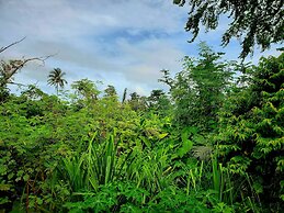 Patrick's on the Beach
