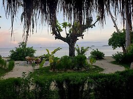 Patrick's on the Beach